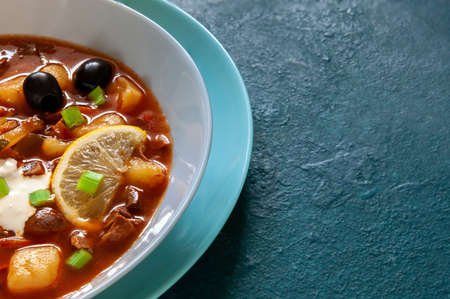Traditional homemade Russian meat soup Solyanka with black olives and lemonの写真素材