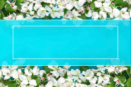Mockup, copy space, place for our text on Beautiful white Flowering Apple Tree branches backgroundの写真素材