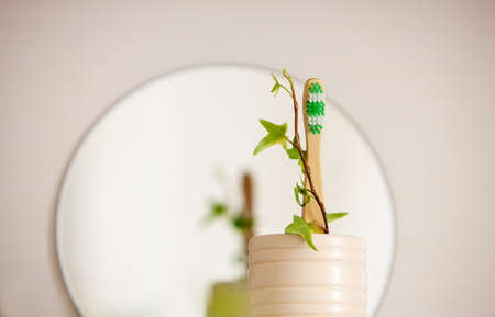 Bamboo natural toothbrushの写真素材