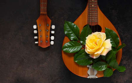 Mandolin - a stringed plucked musical instrument and a beautiful yellow tea rose flower