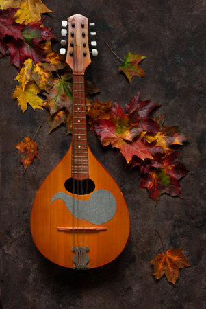 Bright autumn maple leaves and mandolin. The concept of autumn musical and artistic eventsの写真素材