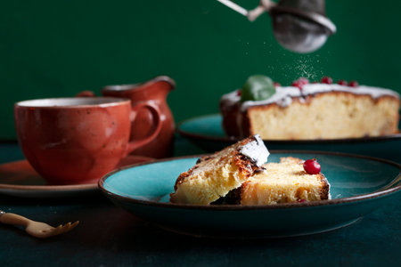 Homemade soft fresh cranberry cake, biscuitの写真素材