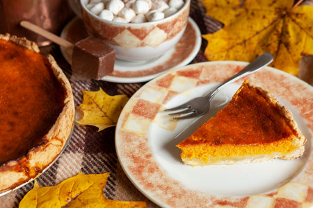 Traditional homemade festive pumpkin pie on cozy checkered plaid.の写真素材