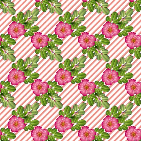 Seamless pattern of bright pink-purple flowers of wild rose and leaves, on a coral-white background with a slanting strip. Great for decorating fabrics, textiles, printed materials, advertising.のイラスト素材