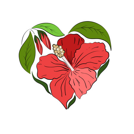 Heart-shaped composition of red hibiscus flowers, green leaves, isolated on white background.のイラスト素材