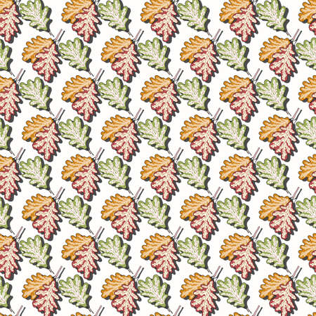 Beautiful seamless pattern of colored oak leaves, autumn print on a white background. Great for decorating fabrics, textiles, gift wrapping design, any printed materials, advertising, or other design.のイラスト素材