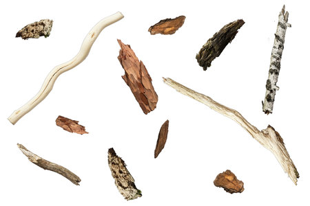 dry branches bark and details of trees isolated on transparent backgroundの写真素材