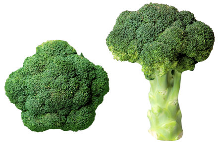 broccoli set isolated on white or transparent background, cut outの写真素材