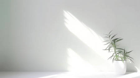 Minimalistic light background with blurred foliage shadow and plant on a light wall. beautiful background for presentationの素材