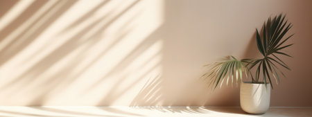 Blurred shadow from palm leaves on the pink wall. Minimal abstract background for product presentation. spring and summerの素材