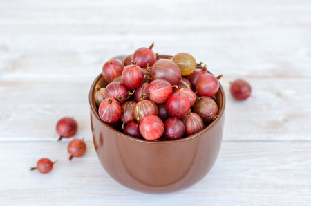 Ripe gooseberry in a ceramic large mug. Soft focus.の写真素材
