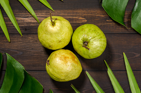 Guava on the background of green palm leaves.の写真素材