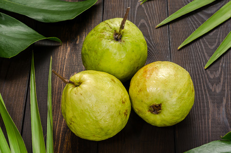Guava on the background of green palm leaves.の写真素材