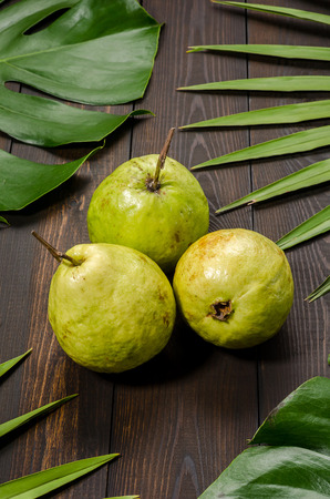 Guava on the background of green palm leaves.の写真素材