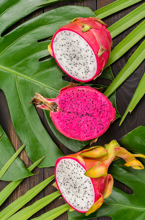 Dragon fruit on the leaves of palm and monster.の写真素材