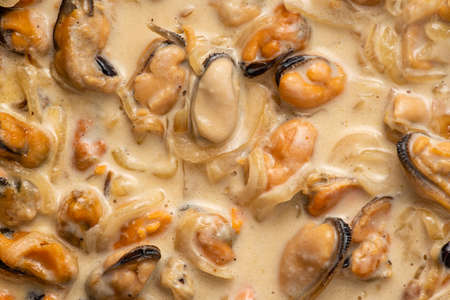Mussels in a creamy sauce.の写真素材