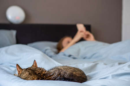 Woman sleeping in bed with her cat. Owner with her pet. Woman looking on her smartphoneの写真素材