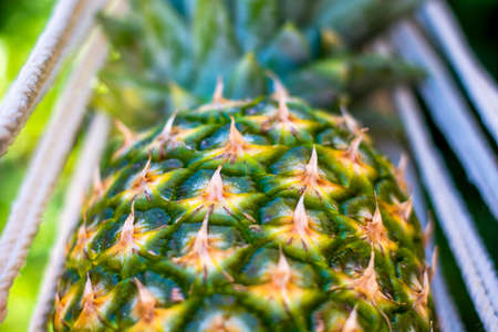 Closeup pineapple in hammock. Concept of leisure, summer vibes and vacation
