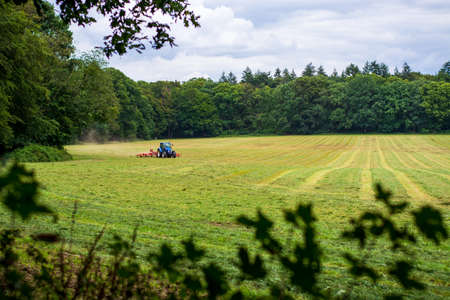 Green grass farm field with blue tractor with a rotary rake raking freshly cut grass in the field.