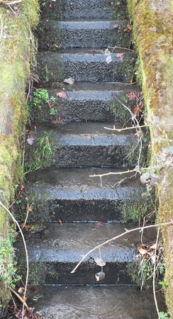 stone steps with waterの写真素材