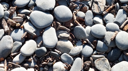 grey pebbles and drift wood on beachの写真素材