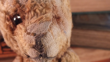 close up of old scruffy teddy bear - vintage and much lovedの写真素材