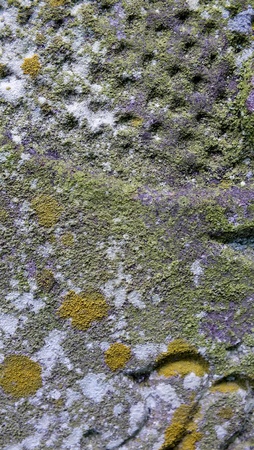 close up of weathered stone, background