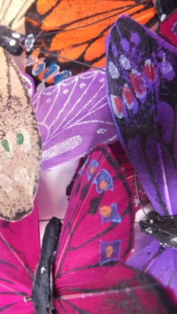 Background pattern created by feather butterfliesの写真素材