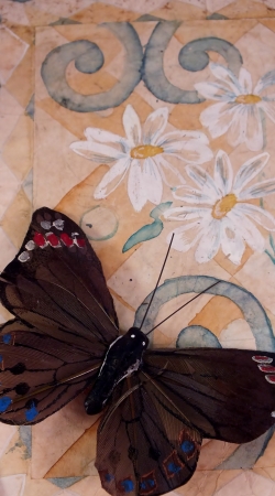 brown feather butterfly on watercolor parchment paper の写真素材