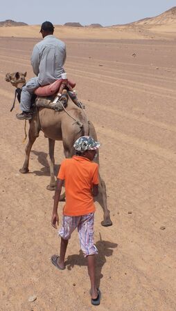 Camel trek in the desert, Egyptian tourismのeditorial素材
