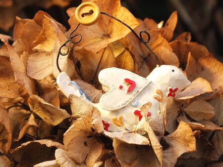 Shabby chic romantic bird nesting in dried hydrangea flowers の写真素材