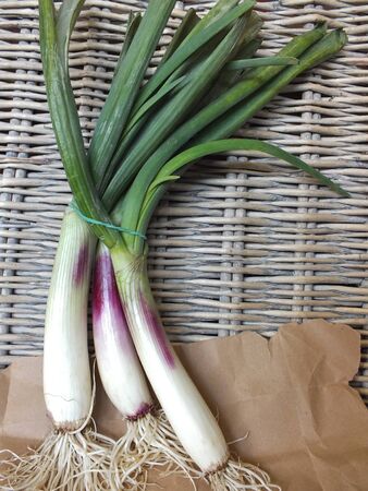 Bunch of organic leeks with natural background of brown paper and willow の写真素材