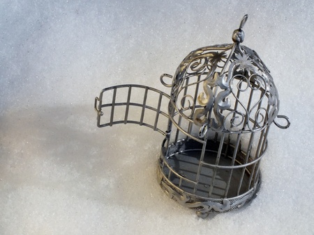 Metal empty shabby chic bird cage laying in snow with open door, casting a shadowの写真素材