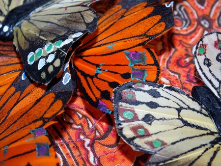 Orange Indian Cotton and Decorative Feather Butterfly Wingsの写真素材