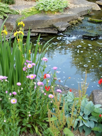A pond , part of a water feature, surrounded by rocks and summer flowersの写真素材