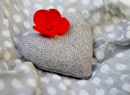 Grey tweed shabby chic heart, decorated with a red geranium flower , on grey and white cotton fabric, a romantic image, wedding or valentines dayの写真素材