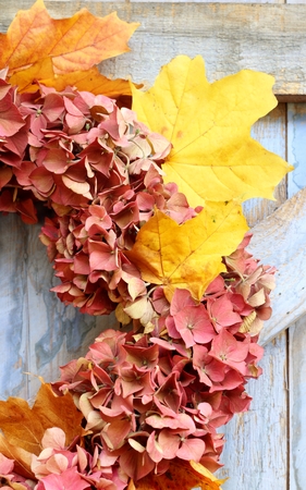 An autumn wreath of faded hydrangea flowers and autumn leaves hanging on a blue, rough painted wooden barn door, a rustic, shabby chic imageの写真素材