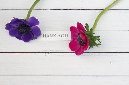 A simple thank you composition of two anenome flowers , pink and deep purple , on white wooden painted plank with metal sign ,. A showing of appreciation, mother's day , giftの写真素材