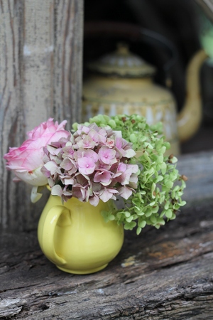 French shabby chic still life, a yellow jug of pink and green hydrangea and roses, on an old wooden...