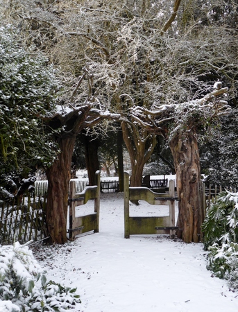 A snow covered gateway with an arch of trees , a magical , fairy tale like woodlandの写真素材