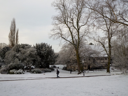 York, North Yorkshire /UK - February 1st 2019 a snowy morning in Museum Gardens in the historic popular city of Yorkのeditorial素材