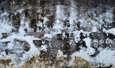 An old castle wall with lichen on it. Original backgroundの写真素材