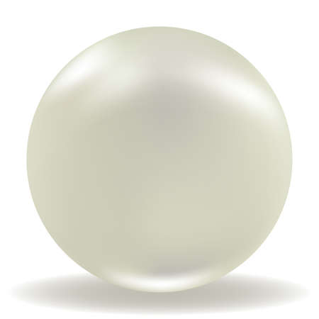 Vector illustration of a realistic pearl on white background のイラスト素材
