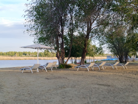 Sunbeds and umbrellas on the sandy beach.の写真素材