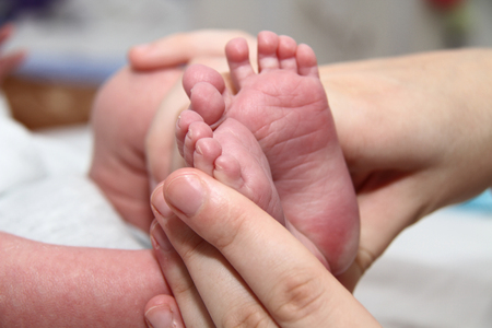 Photo of the Baby's foot in mother handsの写真素材