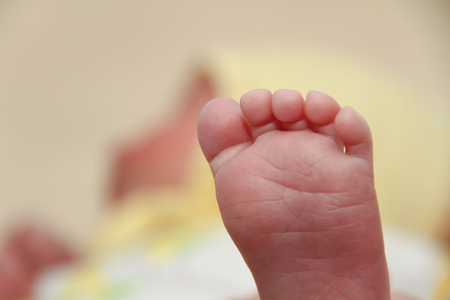 Photo of the Newborn 20 days  baby feetsの写真素材