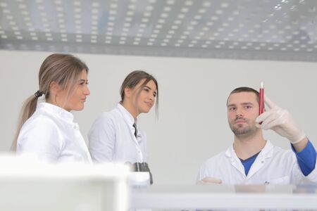 Group of young Laboratory scientists working at lab with test tubes and microscope, test or research...