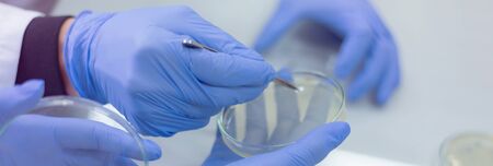 Concept Coronavirus.  scientist or doctor research for Corona virus treatment drug And research in...