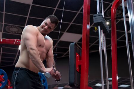 Hard Core Bodybuilding. Muscular athletic bodybuilder fitness model training arms with dumbbells in...