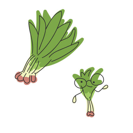 Green onion. Greens and character. Vector hand draw cartoon illustration.のイラスト素材